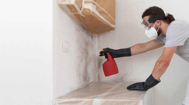 Professional Attic Mold Removal technician working in Corapeake, NC